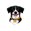 FourCast mascot
